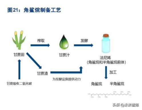 從研發(fā)與核心成分出發(fā) 生物技術(shù)驅(qū)動國貨美妝的星辰大海