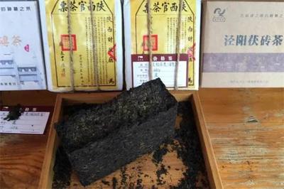 涇陽茯茶 代理與銷售策略全攻略